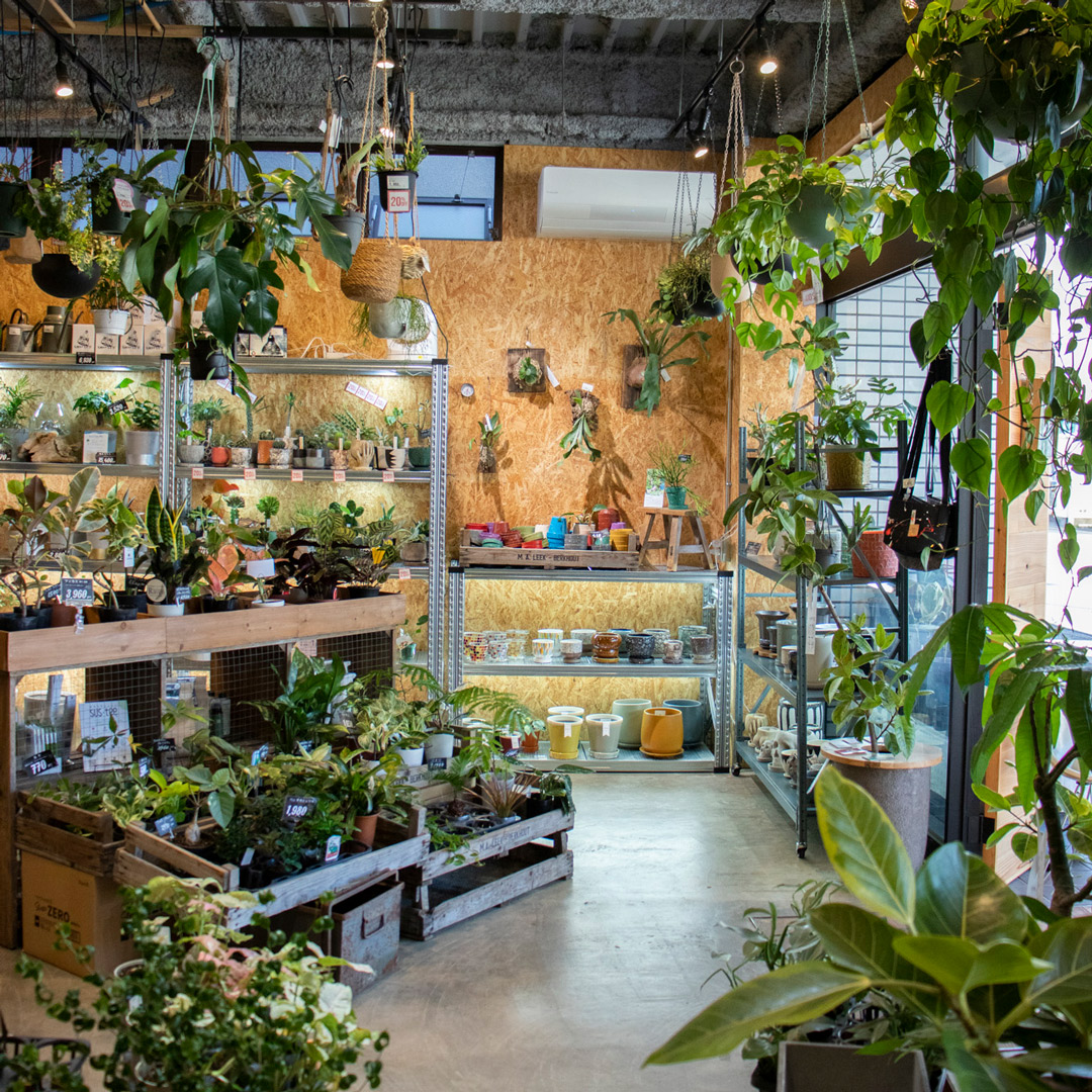 Tou+plants（トウタスプランツ Do! お店インタビュー